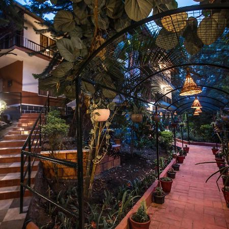 Spice Jungle Resort Муннар Экстерьер фото