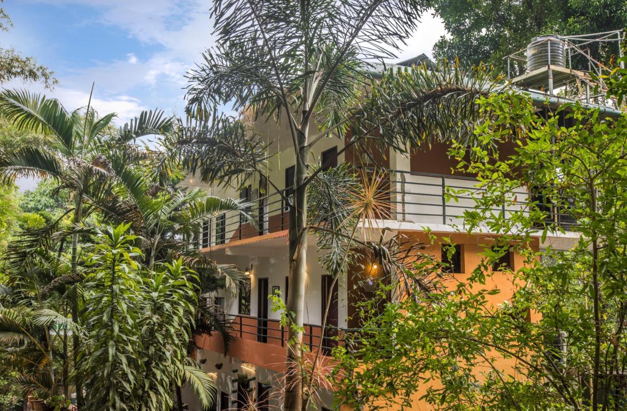 Spice Jungle Resort Муннар Экстерьер фото
